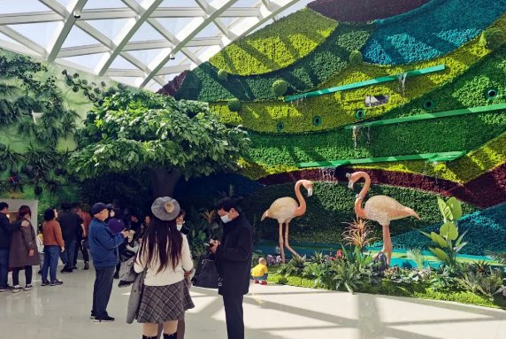 MG不朽情缘(中国区)官网首页