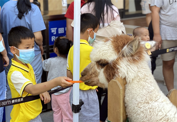 MG不朽情缘(中国区)官网首页