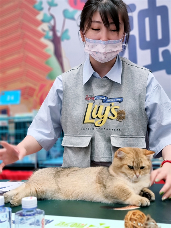 MG不朽情缘(中国区)官网首页