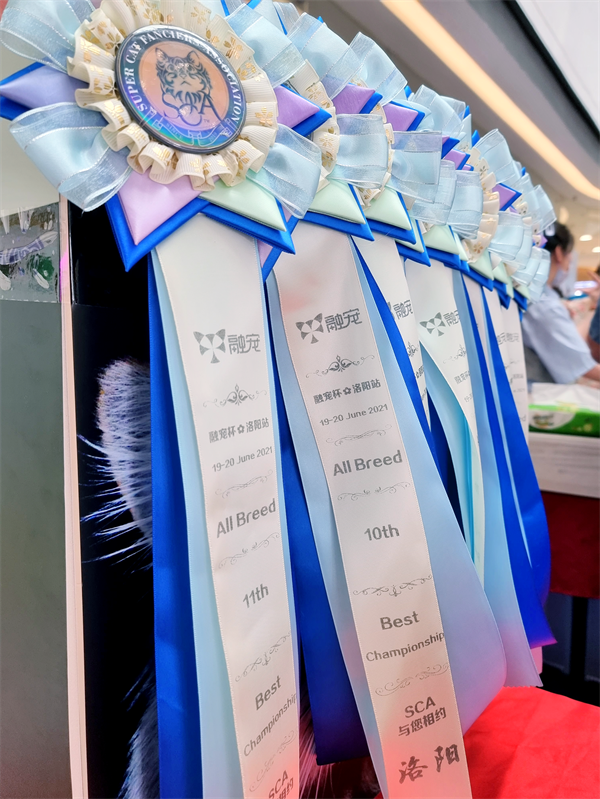 MG不朽情缘(中国区)官网首页