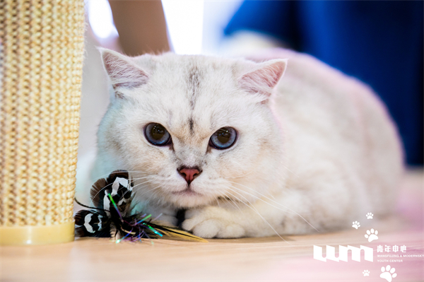 MG不朽情缘(中国区)官网首页