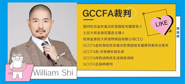 MG不朽情缘(中国区)官网首页