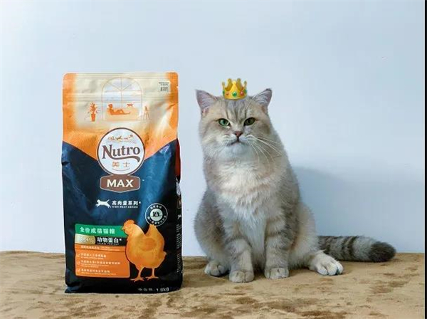 MG不朽情缘(中国区)官网首页