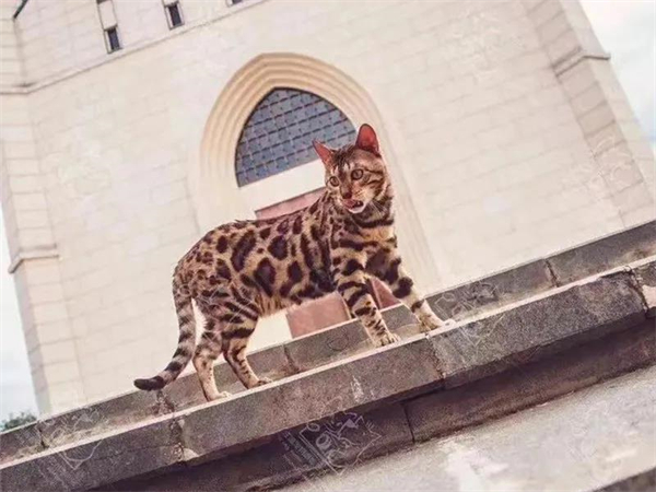 MG不朽情缘(中国区)官网首页