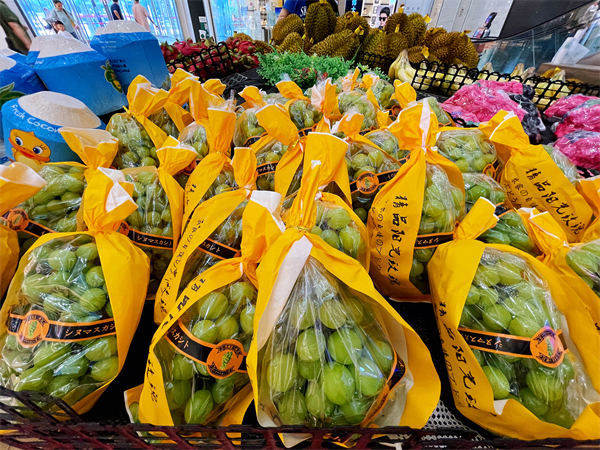 MG不朽情缘(中国区)官网首页