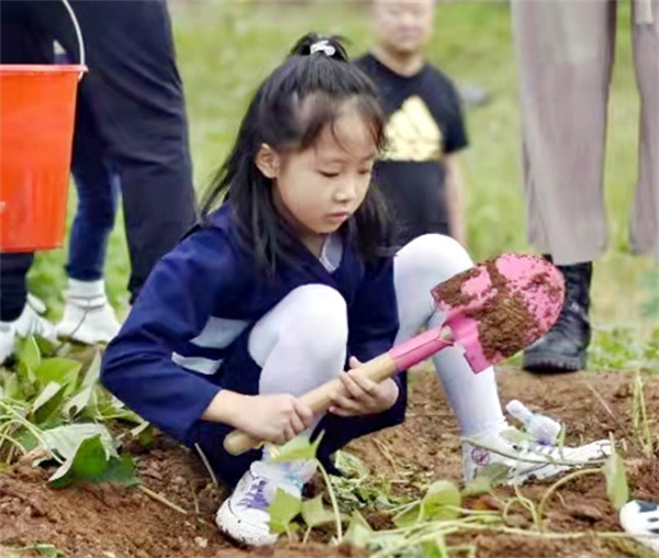 MG不朽情缘(中国区)官网首页