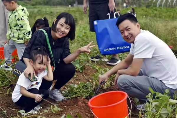 MG不朽情缘(中国区)官网首页