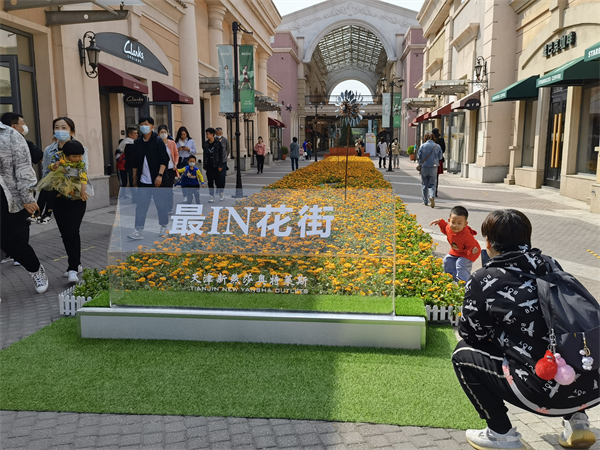 MG不朽情缘(中国区)官网首页