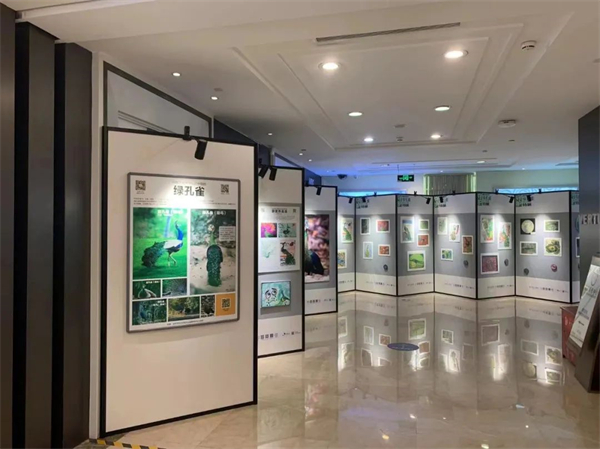 MG不朽情缘(中国区)官网首页