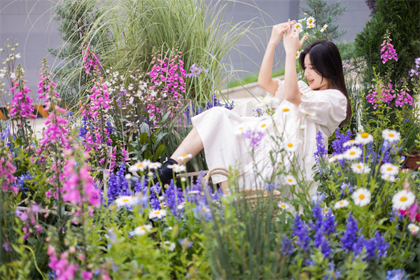 MG不朽情缘(中国区)官网首页