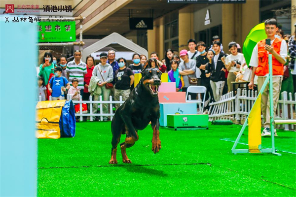 MG不朽情缘(中国区)官网首页