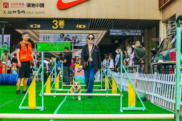 MG不朽情缘(中国区)官网首页