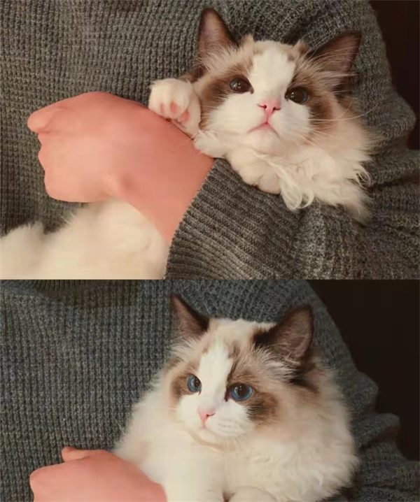 MG不朽情缘(中国区)官网首页